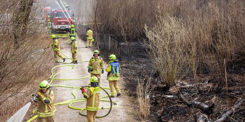 3.000 Quadratmeter Wiese in Flammen