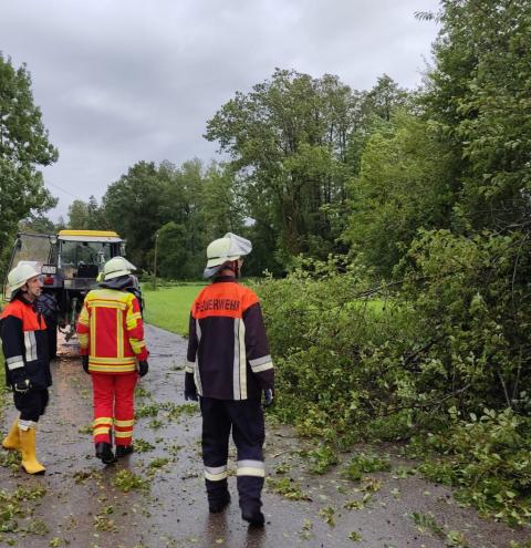 Törring - Sturmschäden, Bäume umgestürzt