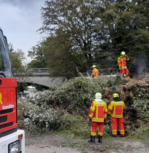 Brand Grüngut 1