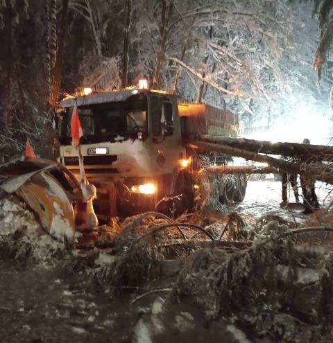 Engelsberg - Bäum fallen auf der TS 5 Räumfahrzeug